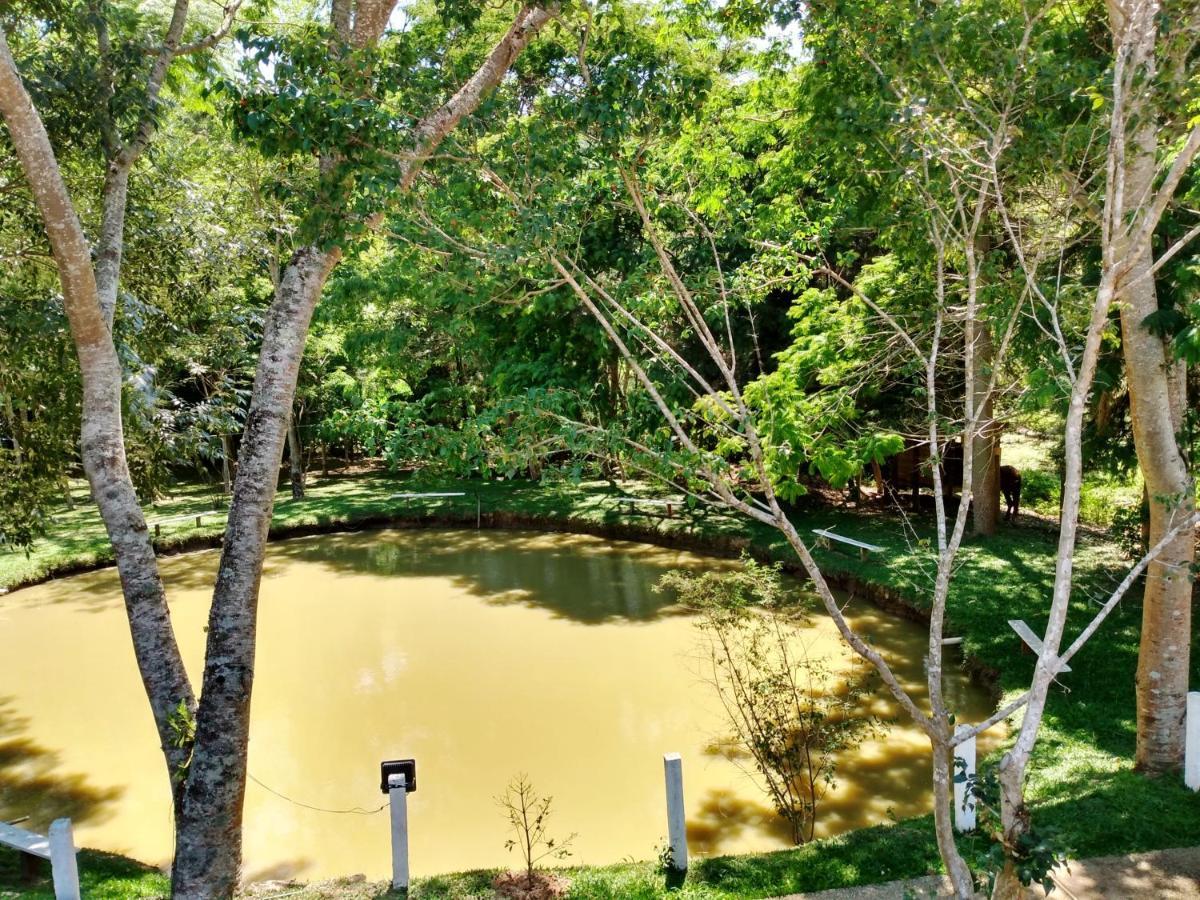 Pousada Villa Pinhal Santo Antônio do Pinhal Eksteriør billede